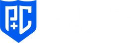 Performance+Cyber